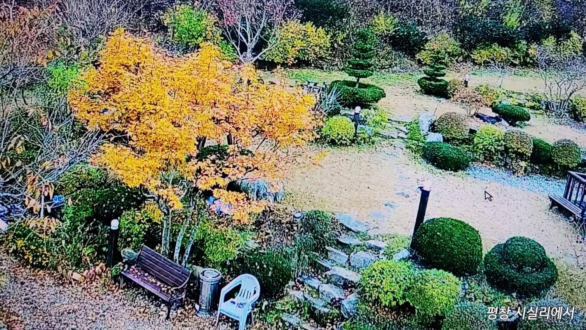 Sisilli Pension Pyeongchang Buitenkant foto